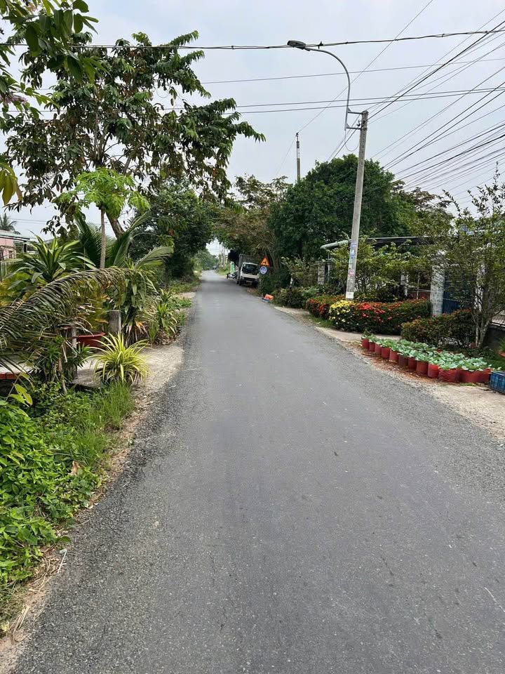 Nhà vườn Cần Giuộc 507m² giá 5.9 tỷ - Mặt tiền đường nhựa thông thoáng!