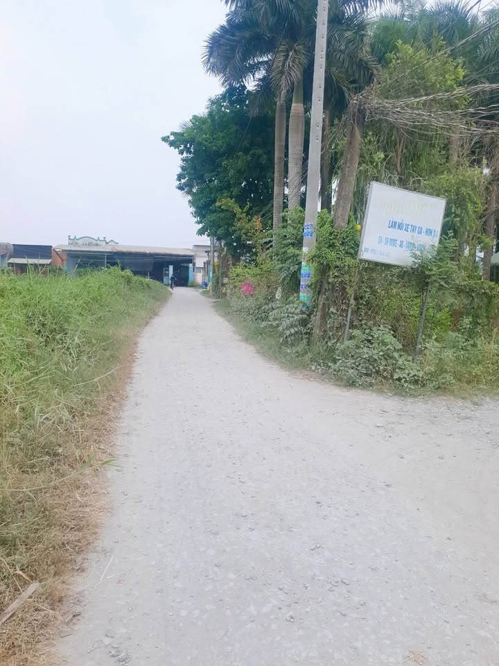 Đất thổ cư Bình Tả, Đức Hòa Hạ 125m² giá chỉ 900 triệu - Sổ hồng đầy đủ!