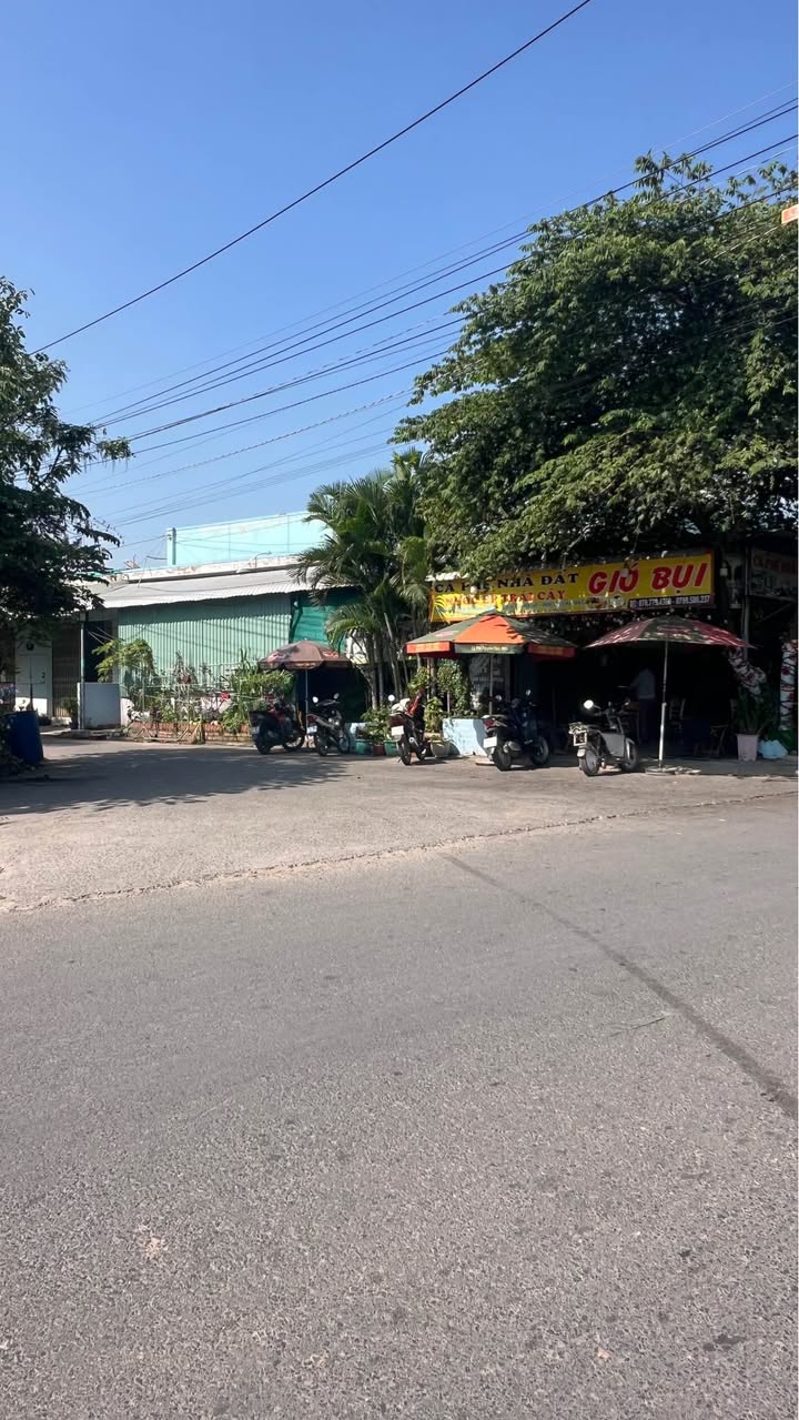 Đất thổ cư Ấp Mới 1, Mỹ Hạnh Nam 220m² giá 1.75 tỷ - Đầu tư sinh lời ngay!