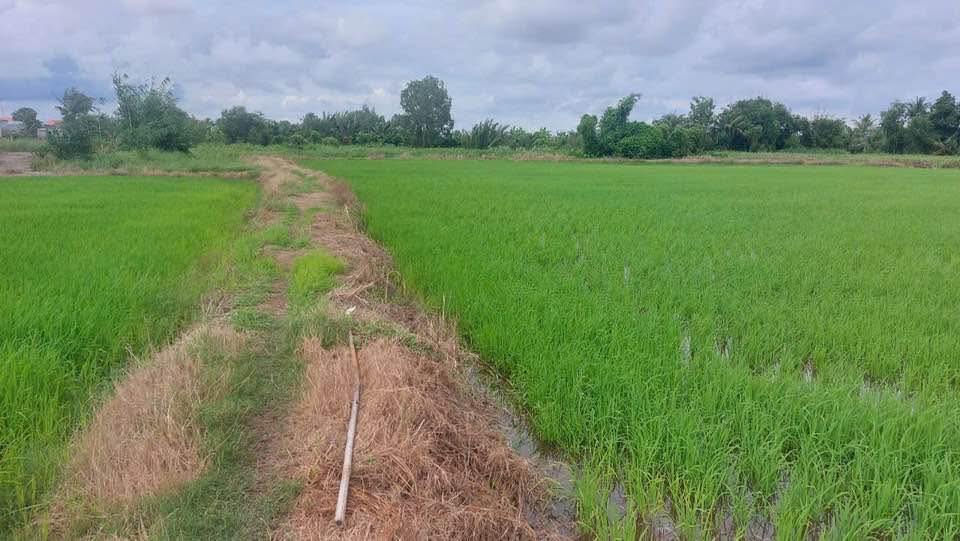 Đất mặt tiền sông Long Sơn 4293m² giá 3.43 tỷ - Sổ hồng chính chủ, bớt lộc!