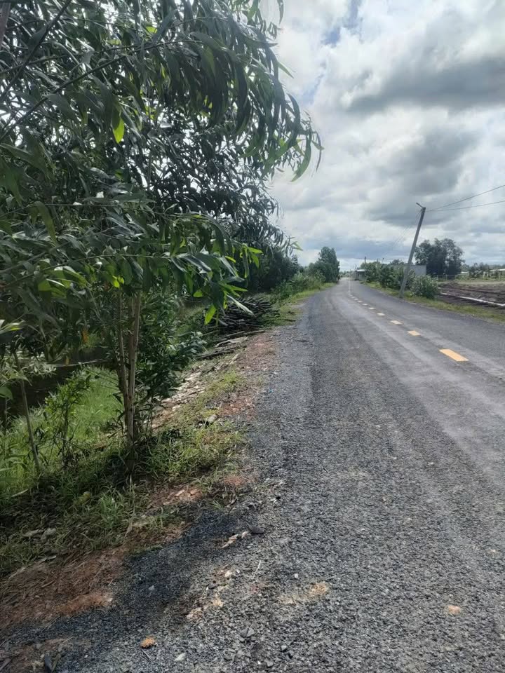 Đất Farm 185.000m² tại Ấp 4, Trương Tấn Sang, Đức Huệ - Giá 55.5 tỷ, Thương lượng chính chủ!