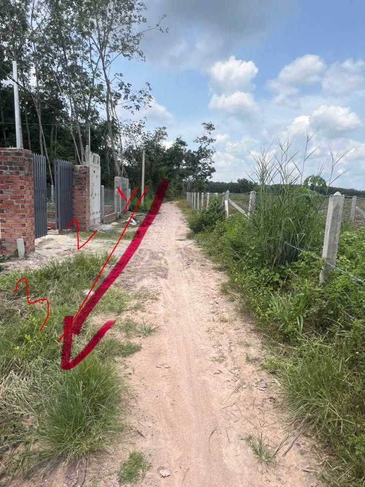 Đất nền Phường Long Hoa, Tây Ninh - Diện tích 205m², Giá 280 triệu - Cơ hội đầu tư tốt!