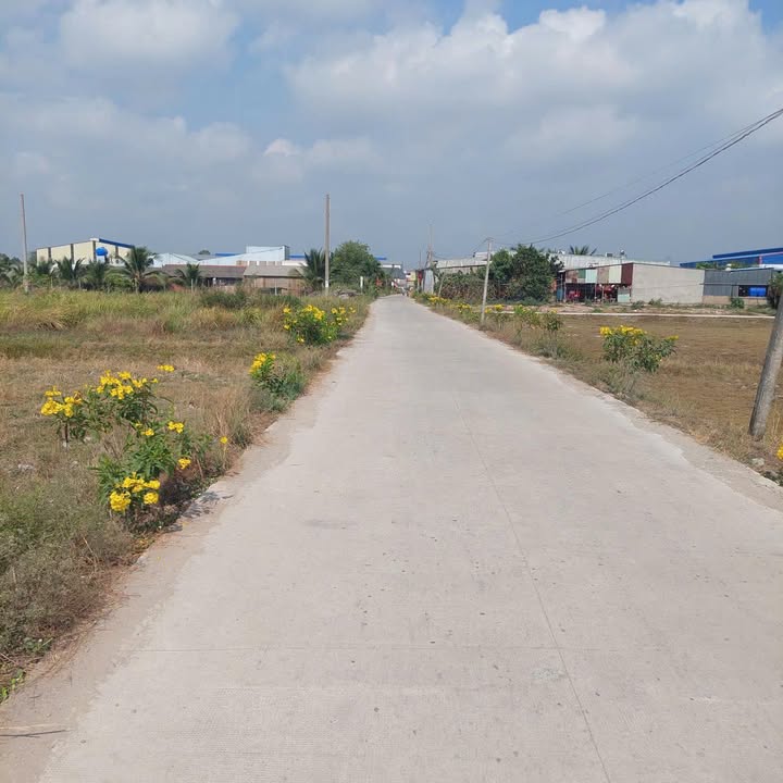 Đất nền Đức Hòa Đông 1470m² giá 12 tỷ - Pháp lý rõ ràng, thương lượng!