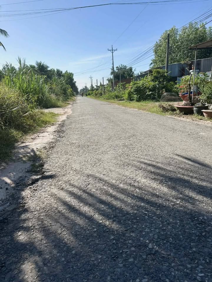 Đất mặt tiền đường nhựa Thanh Bình, An Bình, Châu Thành - 225m² chỉ 525 triệu!