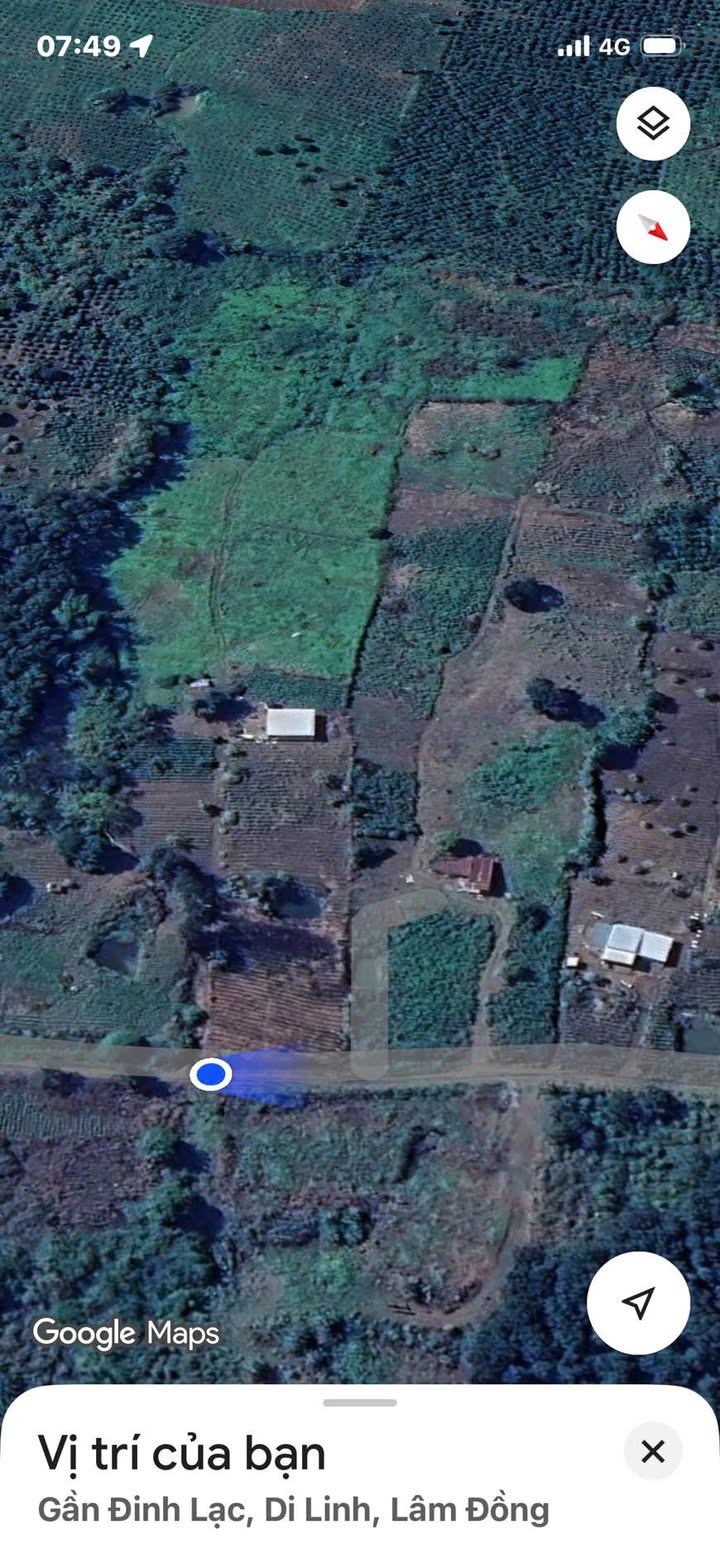 Đất Farm 1,47ha tại Thôn Tân Phú 2, Lâm Đồng - Giá chỉ 972 triệu!