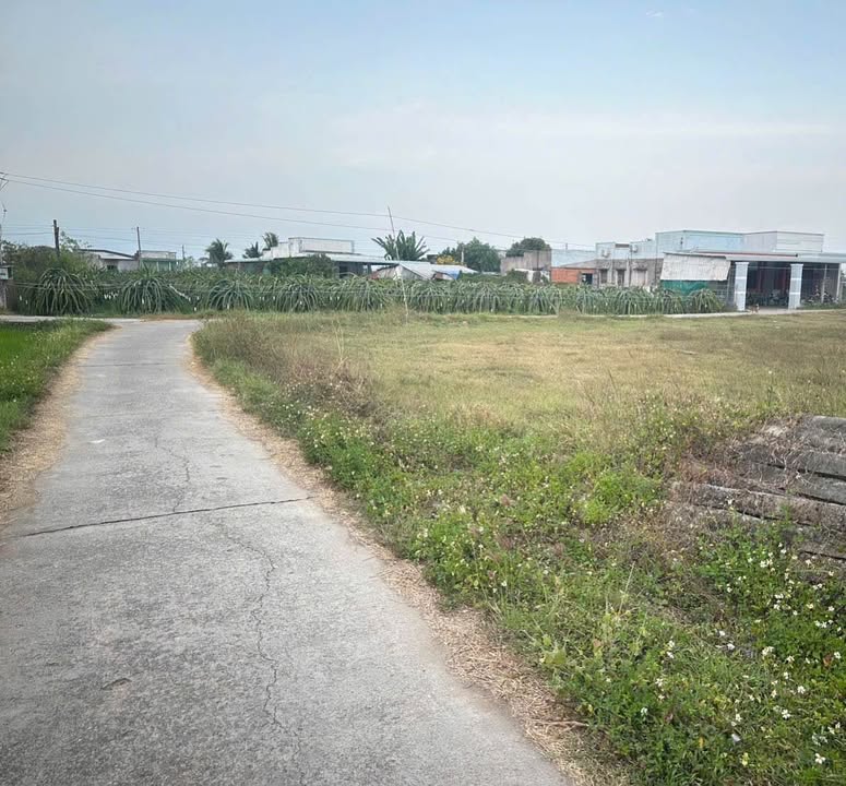 Đất thổ cư Khu Bình An, 100m² giá 520 triệu - Sổ hồng chính chủ!