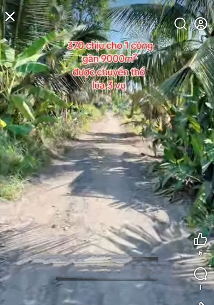 Đất thổ cư 9000m² tại xã Tân Thành, Thủ Thừa - Giá chỉ 3.33 tỷ!