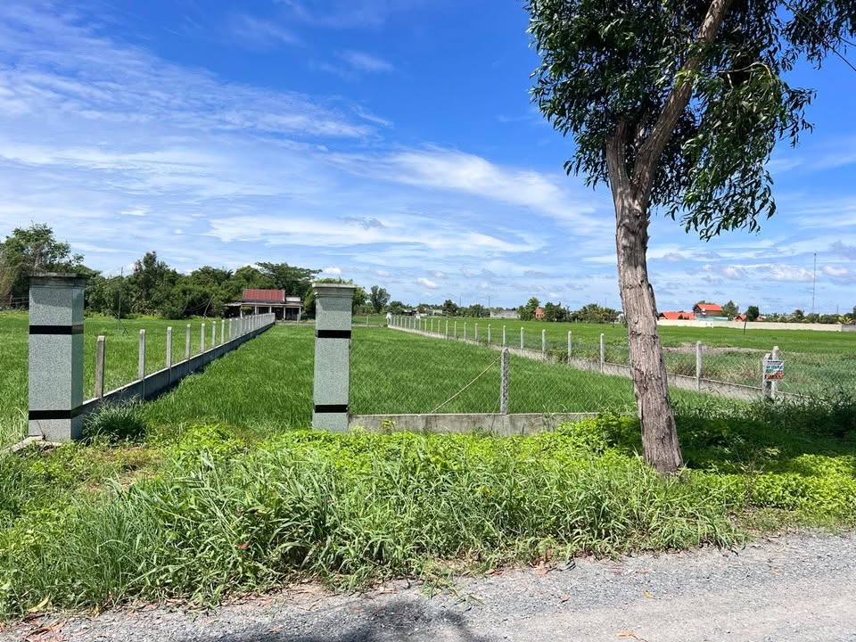 Đất thổ cư và đất lúa 1.166m² tại Hòa Khánh Nam, Đức Hòa - Đầu tư sinh lời!