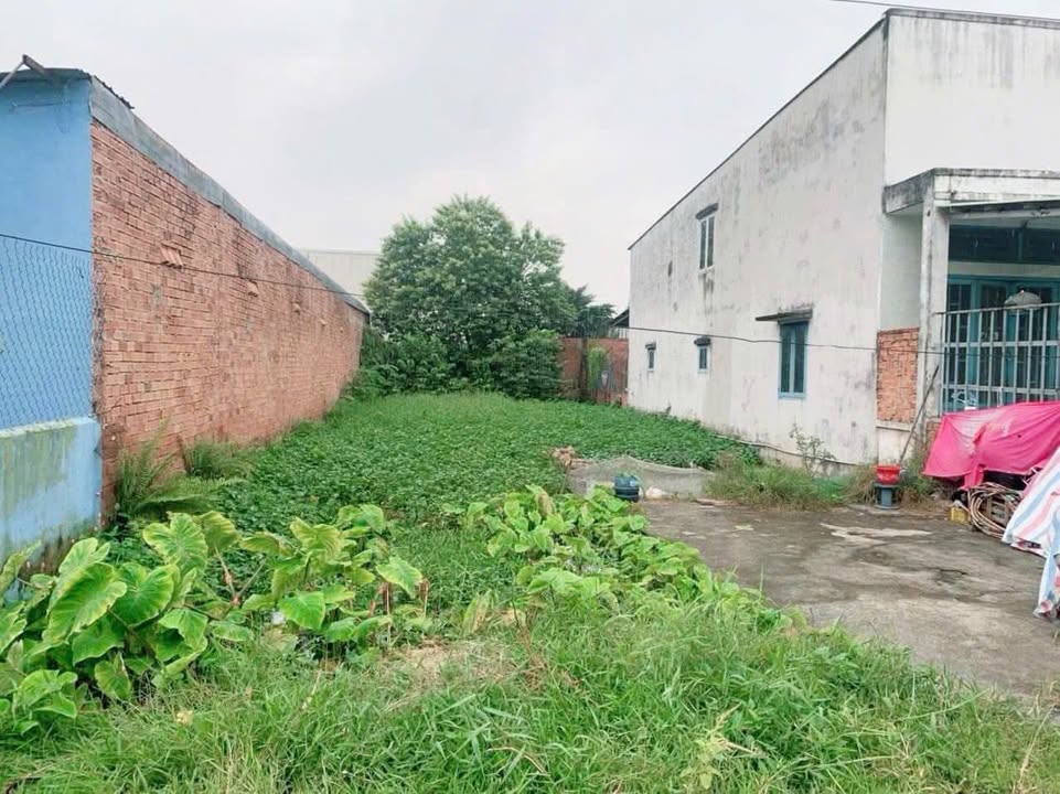 Đất nền Ấp 5, Xã Đức Hòa Đông 133m² giá 1.2 tỷ - Đầu tư sinh lời ngay!