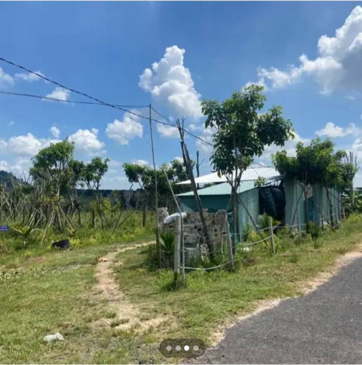 Đất nông nghiệp 1,2ha Bưng Riềng, Xuyên Mộc chỉ 6 tỷ - Đầu tư sinh lời lý tưởng!