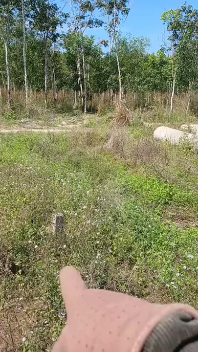 Đất nền 1082m² Xã Tân Lâm, Huyện Xuyên Mộc - Giá chỉ 580 triệu