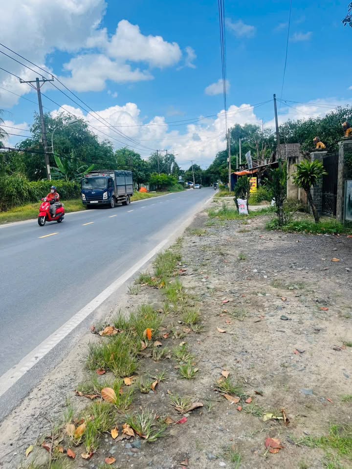 Đất nền kinh doanh Tỉnh Lộ 15, Củ Chi 798m² giá 3.9 tỷ - Tiềm năng sinh lời cao!