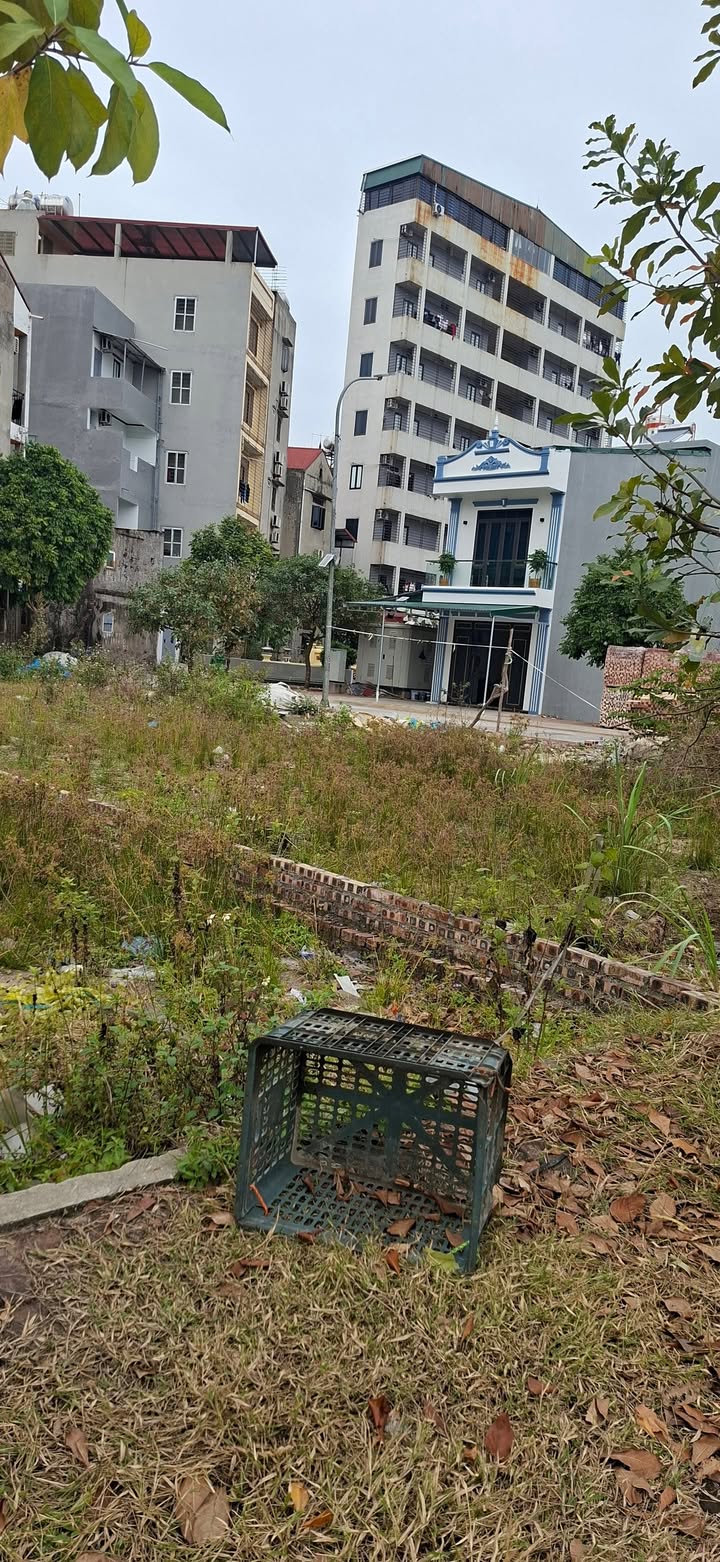 Đất nền khu Nhà Ở Xuân Lâm - Thuận Thành 110m² giá chỉ 7.5 tỷ - Đầu tư sinh lời ngay!