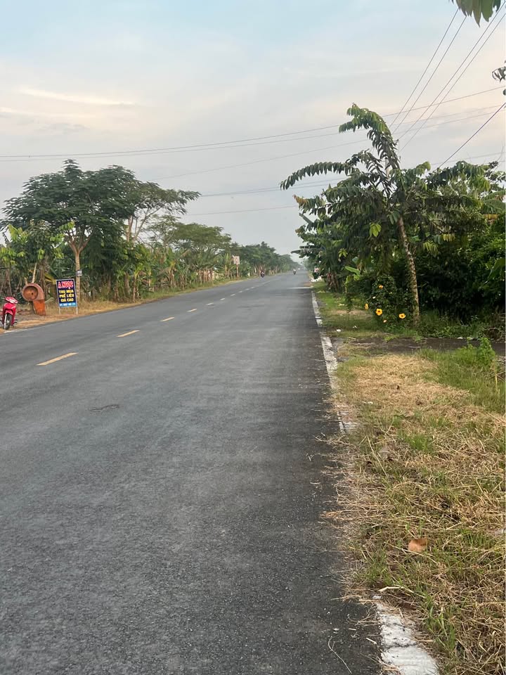 Đất nền mặt tiền Quốc lộ 80, Huyện Lấp Vò, 480m² giá 3.5 tỷ - Đầu tư sinh lời ngay!