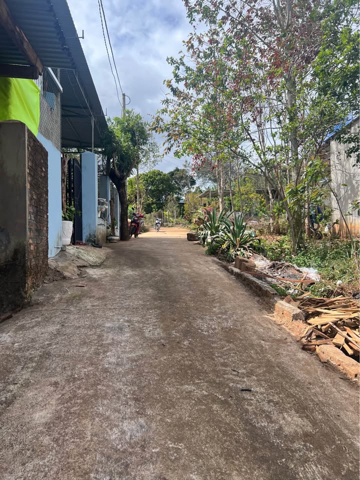 Đất nền Chư Păh Gia Lai 15840m² giá 1.4 tỷ - Kinh doanh tiềm năng