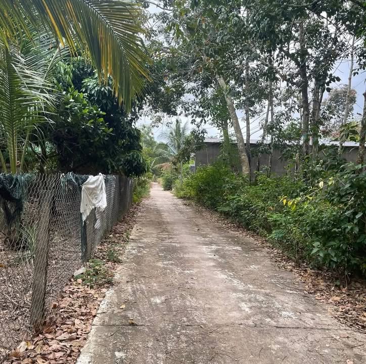 Đất thổ cư ấp Thuận Hải, Thuận Phú 132m² giá 600 triệu - Sổ đỏ chính chủ!