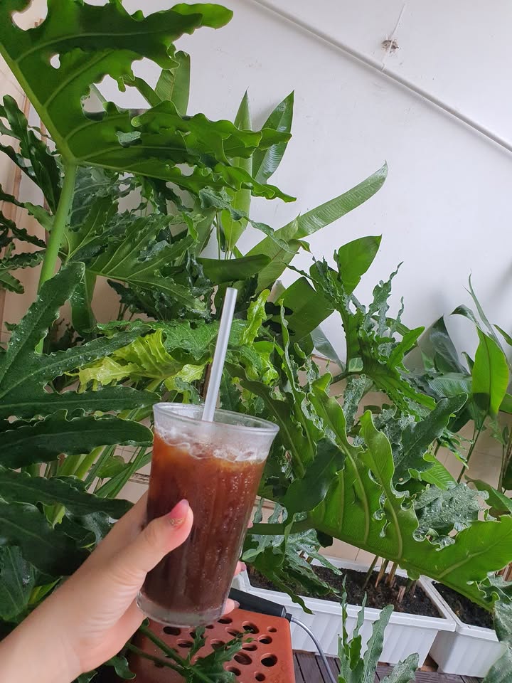 Đất nền Mỹ Hội, Cái Bè 140m² giá thỏa thuận - Đường ô tô dễ dàng di chuyển!