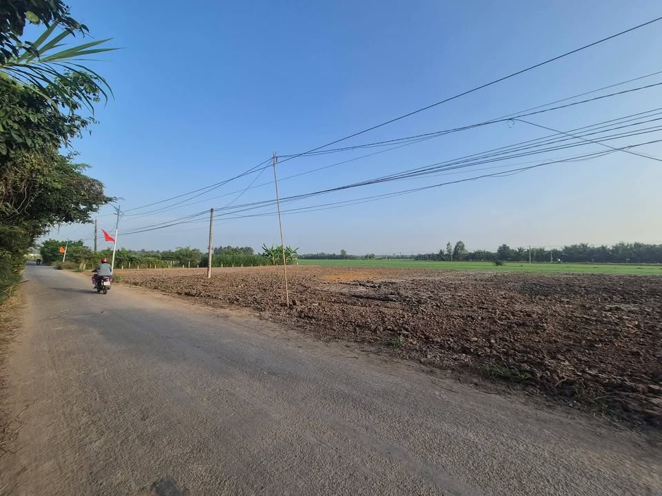 Đất mặt tiền nhựa 150m² xã Vĩnh Hựu chỉ 420 triệu - Sổ hồng chính chủ!