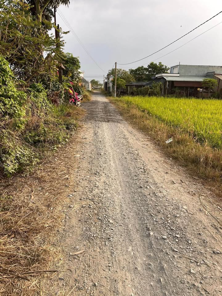 Đất thổ cư 135m² tại Ấp Thuận Hòa 1, Châu Thành - Giá 870 triệu, cơ hội đầu tư tuyệt vời!