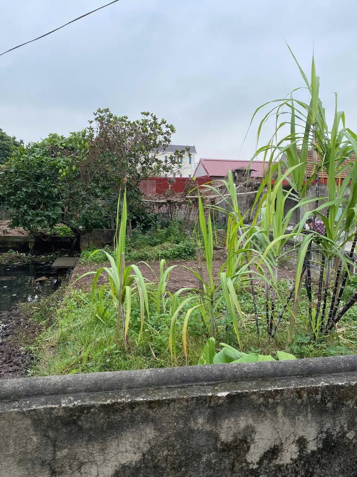 Đất nền Nghĩa Hải 108m² giá chỉ 500 triệu - Đầu tư thông minh cho gia đình trẻ!