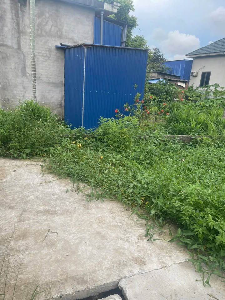 Đất nền Nhất Trí An Dương 43m² giá chỉ 600 triệu - Ô tô vào tận nơi, sổ hồng chính chủ!