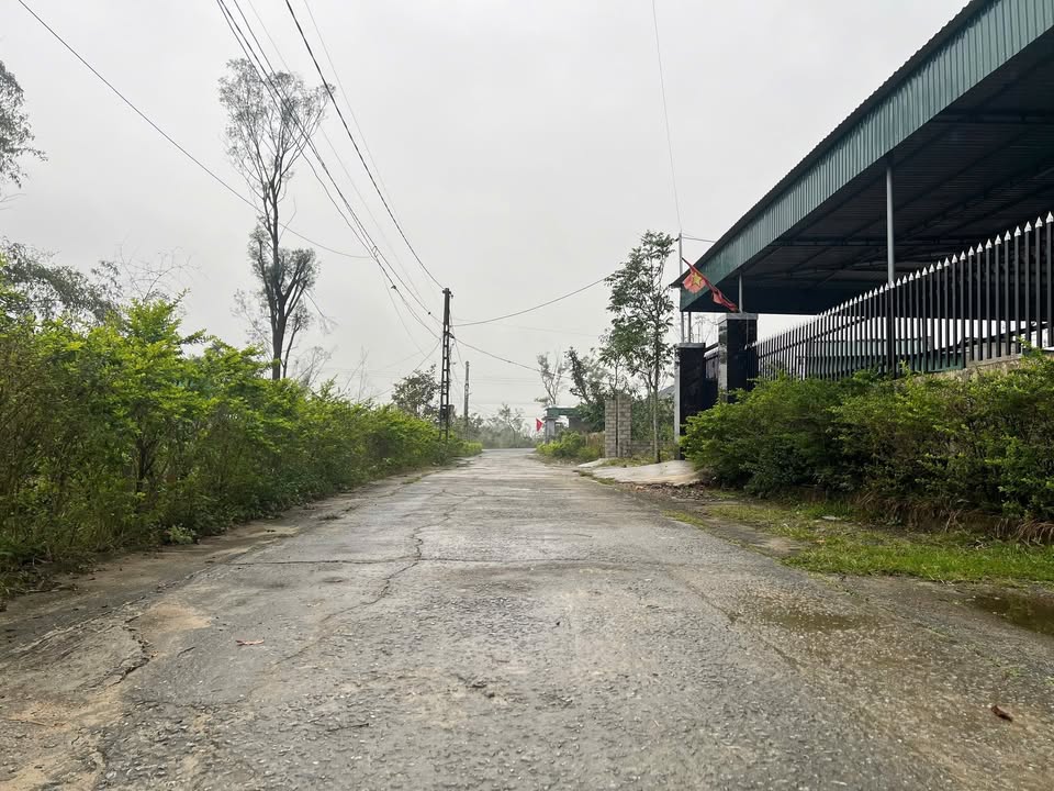 Đất thổ cư thôn Trửa, xã Việt Xuyên, 168.7m² giá 960 triệu - Cơ hội đầu tư tuyệt vời!