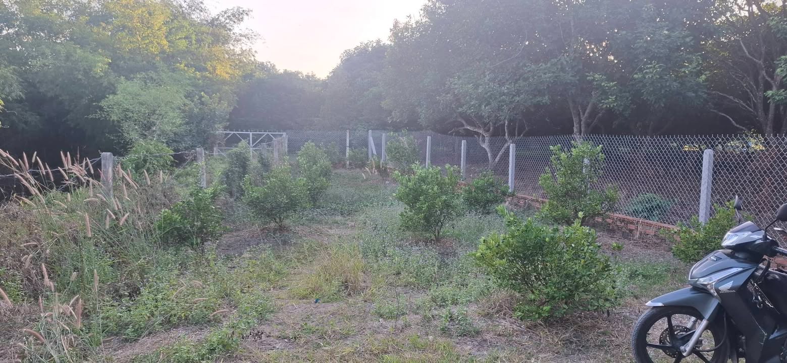 Đất nền 160m² Quận 4 giá 170 triệu - Cơ hội đầu tư tuyệt vời!