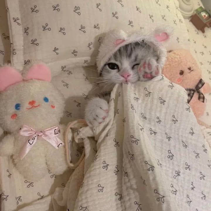 Đất nền Hẻm Trần Văn Ơn, Pleiku 300m² giá 600 triệu - Cơ hội đầu tư tốt!