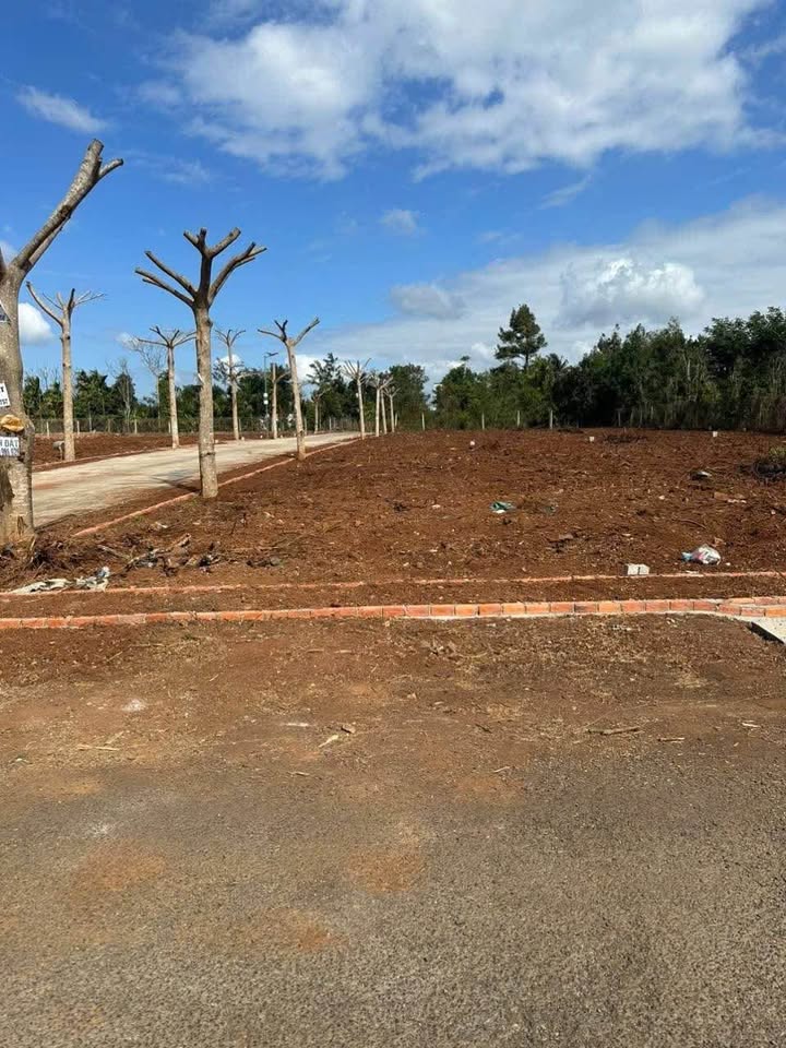 Đất nền 2 mặt tiền đường Mậu Thân, 262m² chỉ 2.25 tỷ - Tiềm năng chia lô cao