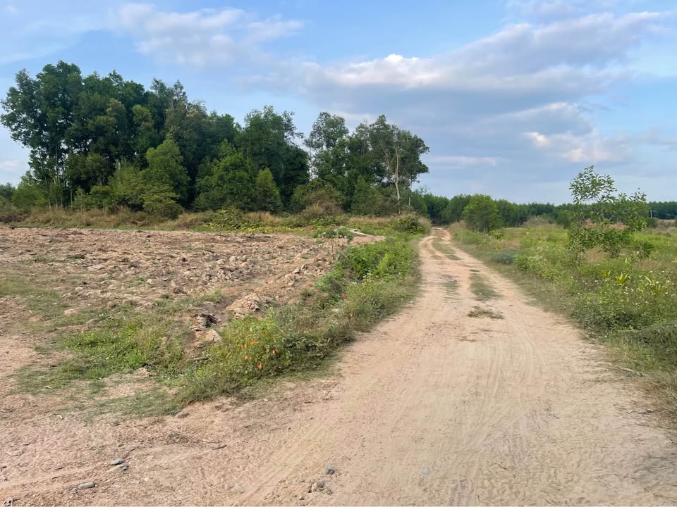 Đất nền xã Xuân Hiệp, Đồng Nai 2000m² giá 13.2 tỷ - Sổ hồng chính chủ!