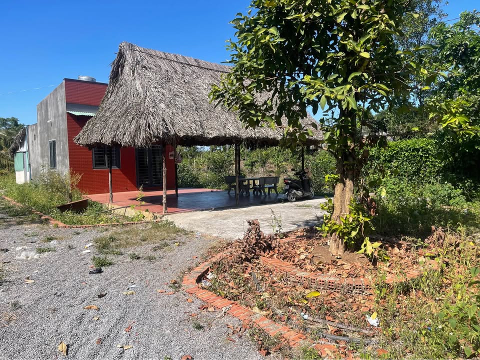 Nhà vườn Sông Thao, 1265m², giá 1.5 tỷ - Cơ hội đầu tư tuyệt vời!