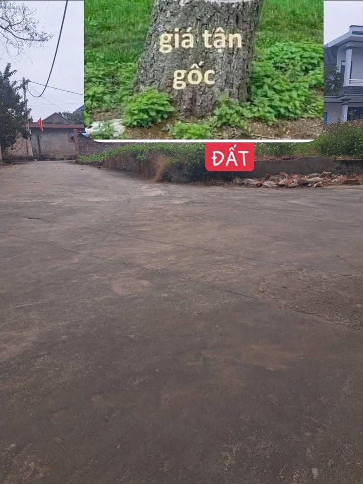 Đất nền lô góc 2 mặt tiền tại Ngọc Sơn, 103m² giá chỉ 1 tỷ - Cơ hội đầu tư hiếm có!