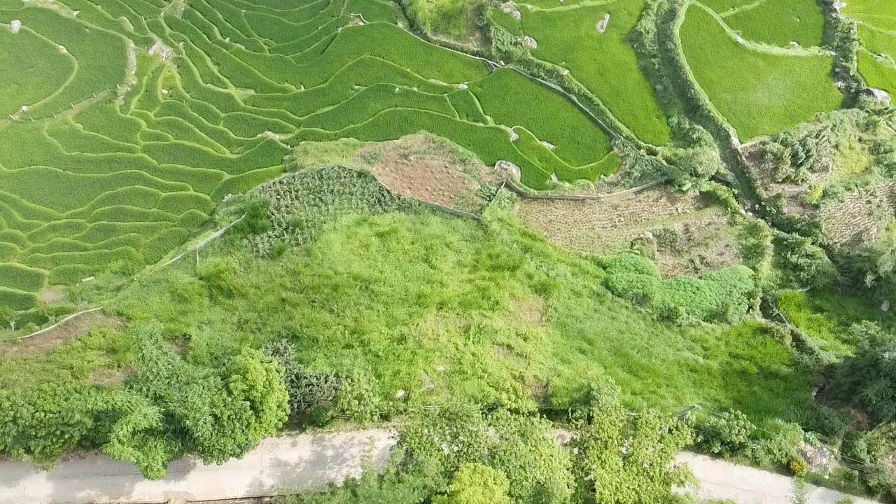 Đất thổ cư Tả Van - 2.100m² giá thỏa thuận - Cơ hội đầu tư hiếm có!