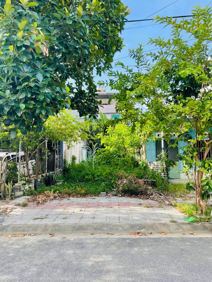 Đất đường Phạm Duy Tốn, Hòa Xuân 100m² giá 4.65 tỷ - Thiên đường an cư lý tưởng!