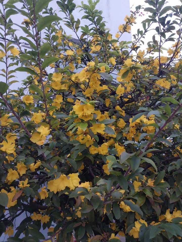 Đất mặt tiền Quốc lộ 50, Bình Đông, 1300m² giá 5.2 tỷ - Đầu tư sinh lời!