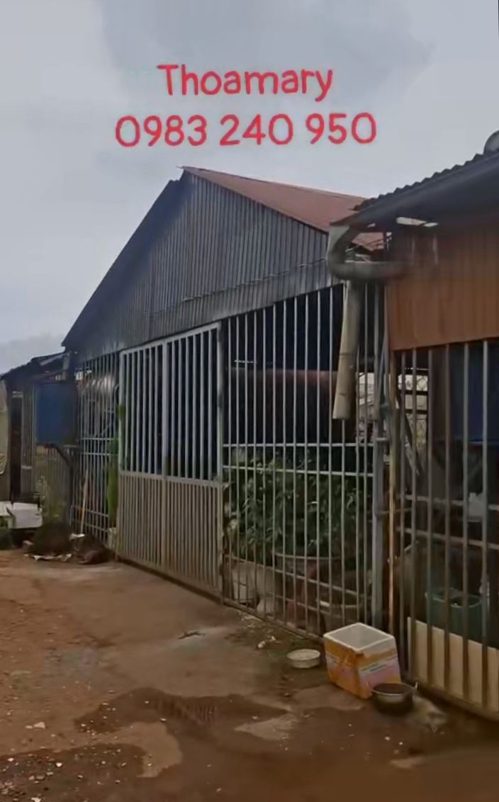 Nhà bán 150m² đường Vạn Thành, xã Bình Thạnh, giá 700 triệu - Đầu tư sinh lời ngay!