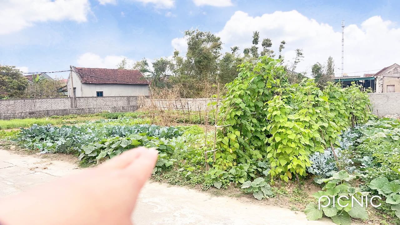 Bán đất Kim Diên - Nghi Long 110m² - Full thổ cư, ô tô vào tận nơi!