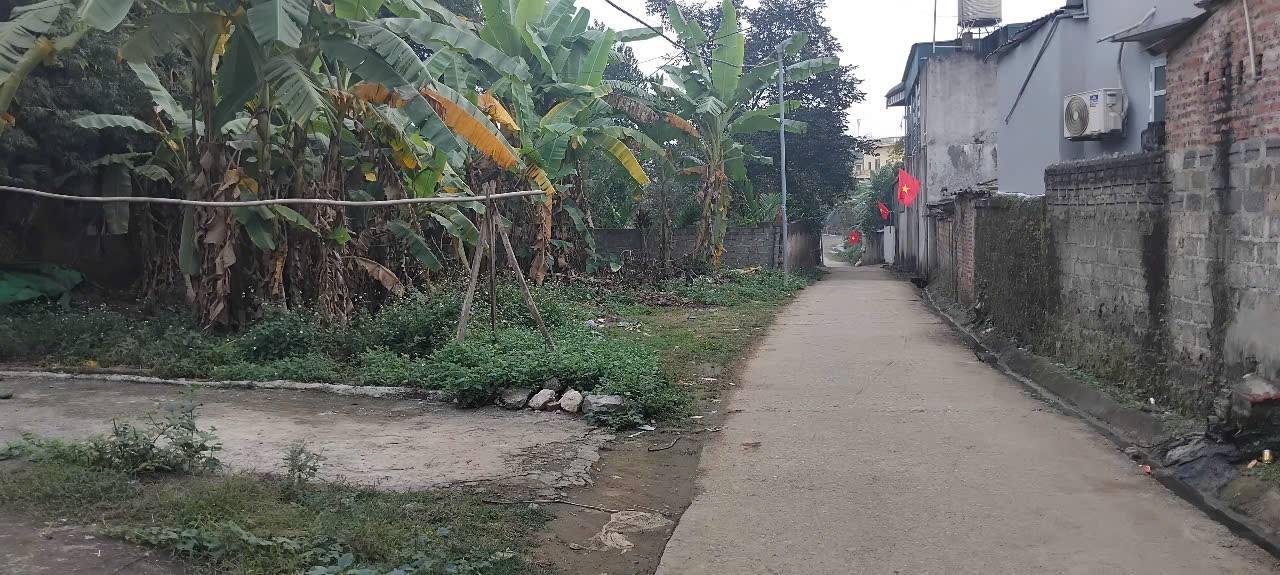 Đất nền thương mại Thị trấn Lương Sơn 311m² giá chỉ 2.643 tỷ - Cơ hội đầu tư vàng!