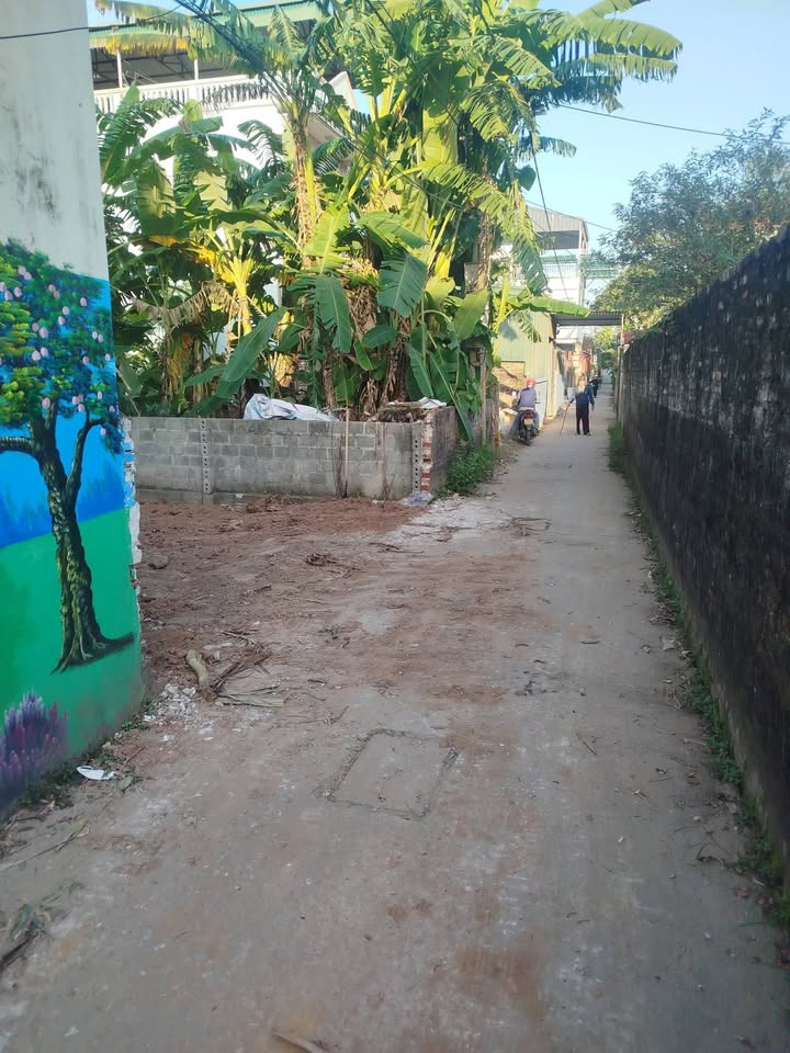 Đất Tự Nhiên Thôn Thần Quy 169m² giá 6.084 tỷ - Đường thông ô tô vào tận nơi!