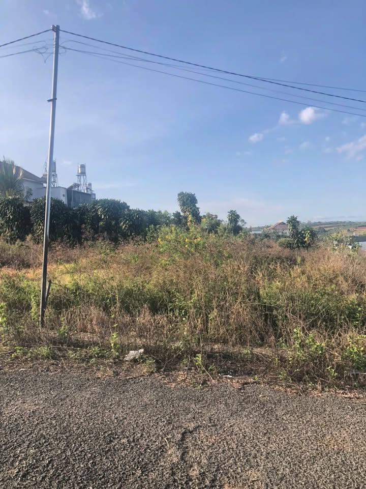 Đất hẻm Nguyễn Trãi, Phường 2, Bảo Lộc 144m² giá 1,2 tỷ - Sổ đỏ chính chủ