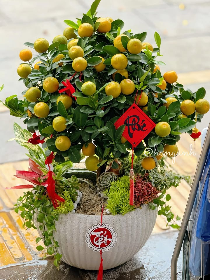 Đất nền Long Phước 360m² giá 1.82 tỷ - Cơ hội đầu tư hấp dẫn!