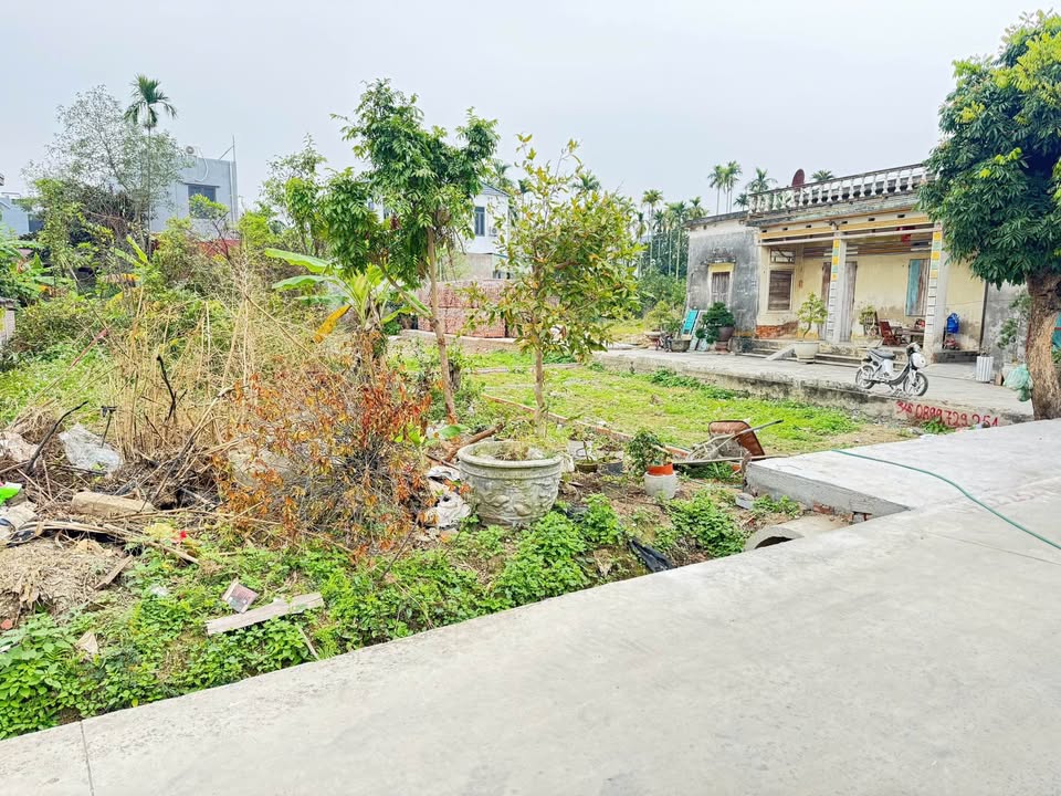 Đất nền Hồng Thái, An Dương 100m² giá 2 tỷ - Đầu tư sinh lời ngay!