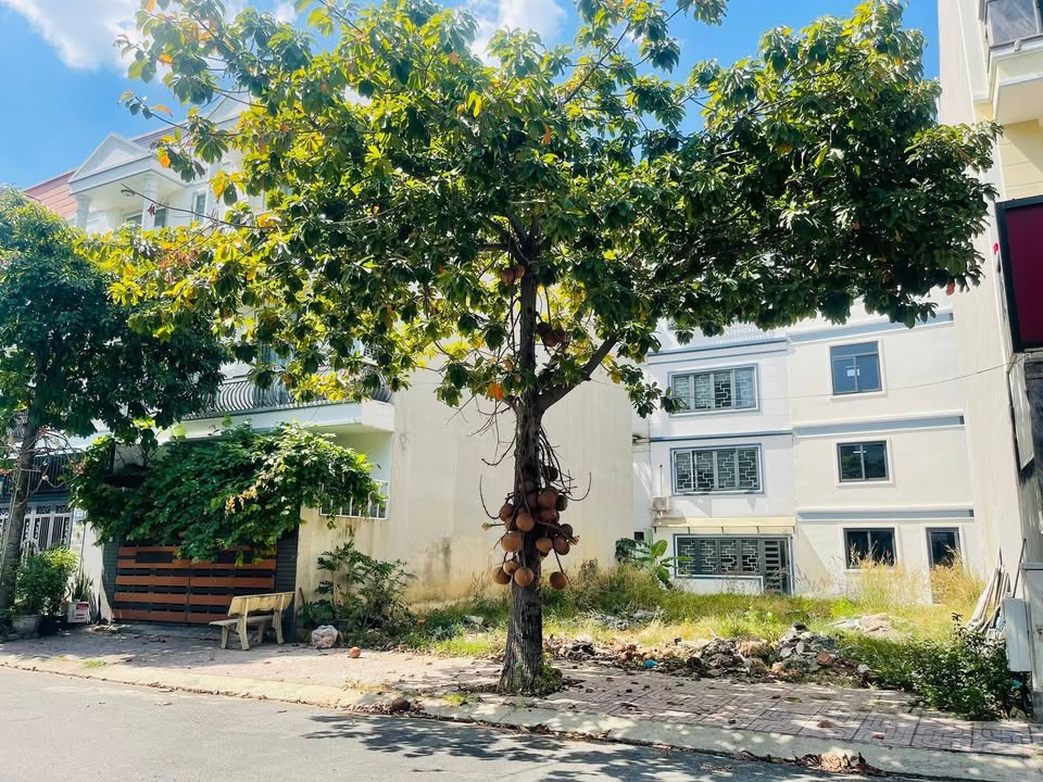 Đất nền Phú Lợi Thủ Dầu Một 80m² giá 4.3 tỷ - Sổ đỏ chính chủ, hỗ trợ ngân hàng!