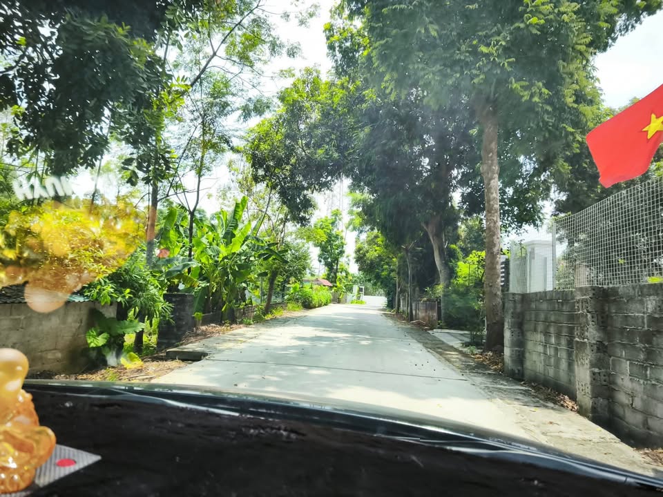 Đất nền Tiên Kiên, Lâm Thao 126m² giá 700 triệu - Đầu tư sinh lời ngay!