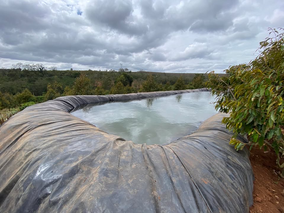 Farm 1,3ha tại Chư Prông Gia Lai - Đất đỏ bazan, trồng cây ăn trái hiệu quả