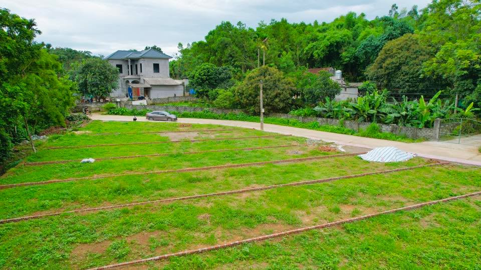 Đất thổ cư 110m² tại Tu Vũ, Thanh Thủy - Giá 500 triệu - Dân cư đông đúc!