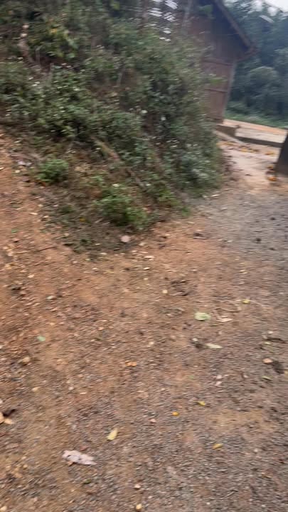 Farm Bảo Thắng Lào Cai 2016m² giá tốt - Đầu tư sinh lời!