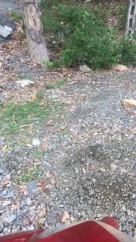 Mỏ đá Hố Hành 2 tại Cam Phước Đông, 25ha - Tiềm năng phát triển lớn!