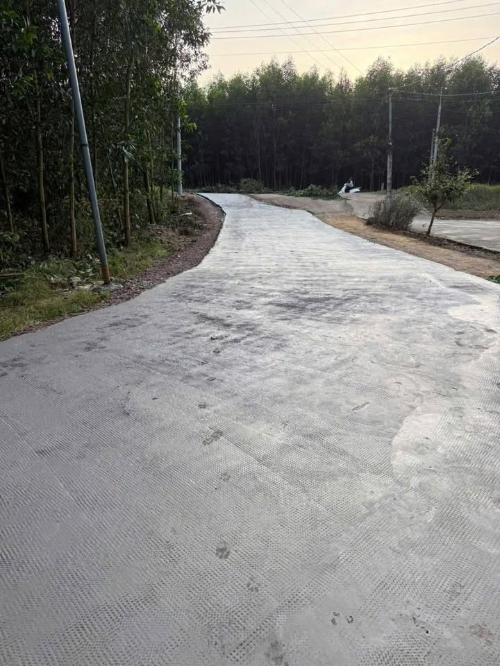 Đất thổ cư Xuân Bắc 100m² giá 650 triệu - Cơ hội đầu tư hấp dẫn!