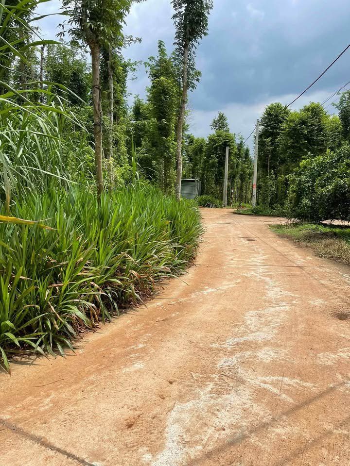 Đất nông nghiệp 829m² thôn Tân Long, xã Kim Long, Châu Đức - Giá chỉ 1.89 tỷ!